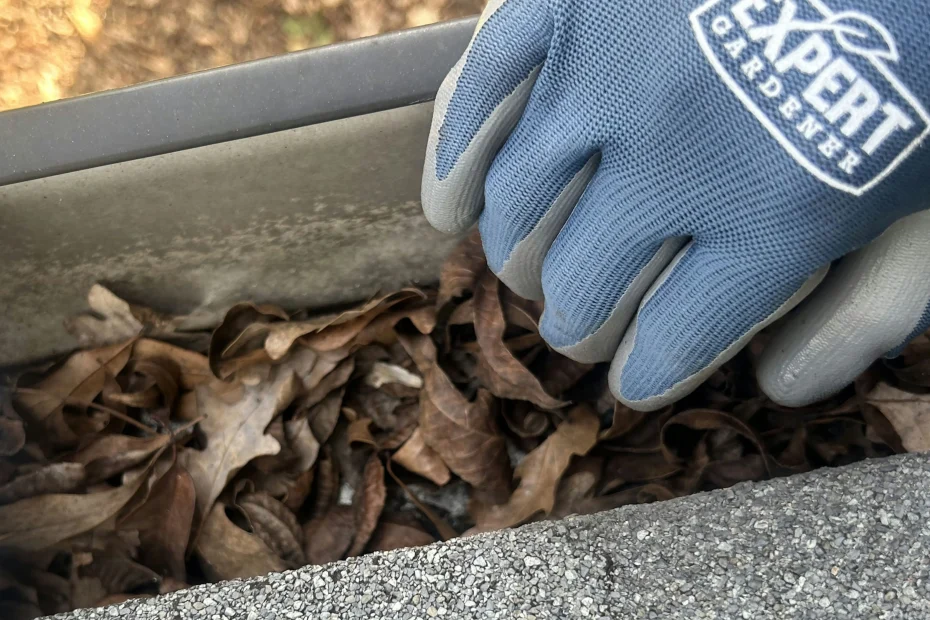 Gutter Cleaning Slidell